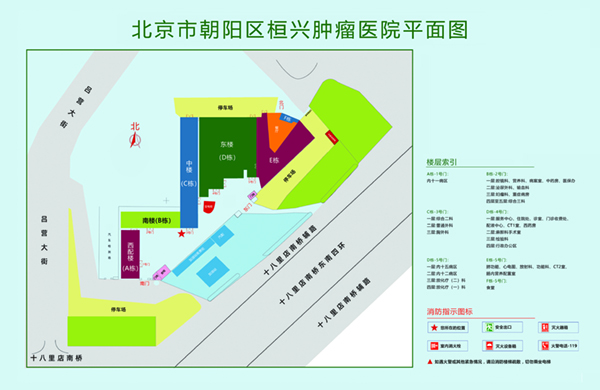 刺激艹北京市朝阳区桓兴肿瘤医院平面图